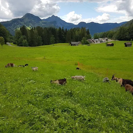 Hirschberghuette * Bizau