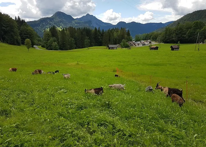 Hirschberghuette * Bizau