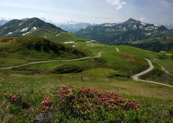 Hirschberghuette Chalet